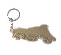 Generico Portachiavi topografico in 3d dell'Emilia Romagna, Adriatico, Italia (Marrone-Bianco)