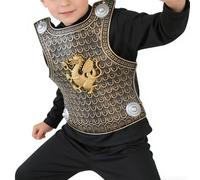 Generico PP Roman Gladiator Costume Set For Kids | Bronze Silver Breastplate Shoulder Arm Guards | Unisex Historical Role-Play Dress Up Kit | Boys Girls Party Fancy Outfit Accessory