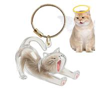 Generico Premium Pet Memorial Keepsake Keychain - Transparent Storage Bottle Pendant, Features Hermetically-Sealed Shatter-Resistant Architecture For Memento Safety | Reinforced Industrial-Strength
