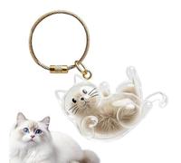Generico Premium Pet Memorial Keepsake Keychain - Transparent Storage Bottle Pendant, Features Hermetically-Sealed Shatter-Resistant Architecture For Memento Safety | Reinforced Industrial-Strength