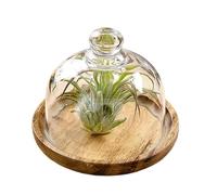 Generico Présentoir à Gâteaux | Présentoir à Gâteau avec Plateau et Cloche,Support en Bois pour Desserts Décoration de Fête Cuisine Pâtisseri