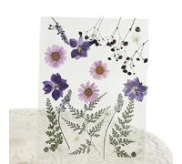 Generico Pressed Flower Frame, Acrylic Keepsake Display with Clear Stand, Dried Flowers Photo Frame for Home Living Room Kitchen Bathroom Office Desk Party Crafting