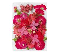 Generico Pressed Flower Stickers - Aesthetic Plant Set For Journaling | 35PCS Real Dried Design, Scrapbook Craft Supplies, Natural Decorative Ornament, Creative Art Tool, DIY Journal Accessory