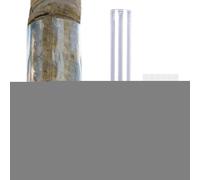 Generico Protège-Arbres et Troncs - Bande Auto-Adhésive Imperméable Transparent | Protection Écorce Arbre | Jardinage Noël Été Printemps | pour Animaux Lapin Écureuil Fruit Plante