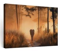 Generico Quadri Moderni con Cornice 100x75 cm - Elefante Foresta Sentiero Tramonto, Stampa su Tela Grande per Soggiorno e Camera da Letto, Decorazione Parete Casa Moderna