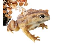 Generico Rane Giocattolo Figurine Educative Realistiche
