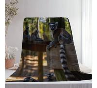 Generico Realismo Fotografia Lemure Dalla Coda Ad Anelli Coperta Di Flanella, Super Morbida Leggera Accogliente Decorativa - Multicolore Coperte Per Letto Divano Viaggio Campeggio 220 x 240 cm
