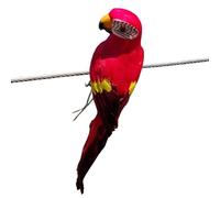 Generico realistico | Personaggi d'azione per uccelli multiuso,Ornamenti da cortile per casa, ufficio, giardino privato, zoo, pubblico, feste e cerimonie nuziali