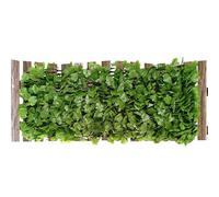 Generico Recinzione Privacy Esterna - Schermo Balcone Estensibile Pannelli Traliccio Resistenti | Decorazione Giardino Cortile Patio Sfondo Verdeggiante Siepe Artificiale Frangivento Muro