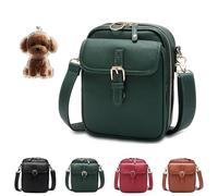 Generico Retro Crossbody Leather Bag, 2025 Upgrade Double Layer Large Capacity Mini Messenger Bag, Anti-Theft Retro Design for Women (green)