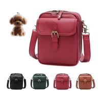 Generico Retro Crossbody Leather Bag, 2025 Upgrade Double Layer Large Capacity Mini Messenger Bag, Anti-Theft Retro Design for Women (red)