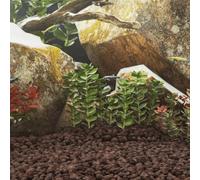 Generico Rocce Vulcaniche 10 kg Rosse 5-8 cm,Articoli per Animali,Animali Domestici - Articoli,Articoli per Pesci,Decorazioni per acquari-155315