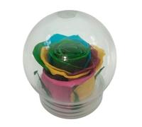 Genérico Rosa eterna multicolore. Cupola in vetro. Rosa multicolore preservata. Rosa arcobaleno eterna. Fiore preservato multicolore. Prodotto in Spagna.