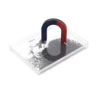 Generico Scatola con Polvere di Ferro e Limatura Magnetica per Esperimenti Fisica Strumento Didattico per Visualizzare Linee Campo Magnetico Kit Educativo per Scuole e Laboratorio