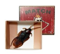 Generico Scatola Degli Scherzi | Decorazioni Da Festa Con Realistici E Divertenti - Oggetti Da Scherzo E Trucco | Per Compleanno Halloween Pesce d'Aprile Uffici Festa Casa Scuola Viaggio Vacanza