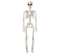 Generico Scheletri per Halloween Osseo Snodabile a Corpo Intero Props