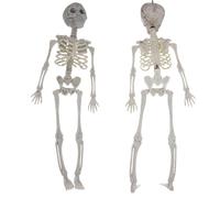 Generico Scheletro Figura - Modello di scheletro umano con articolazioni mobili posizionabili - Scheletro di tutto il corpo per la decorazione del cimitero della casa stregata