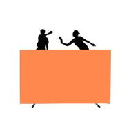 Generico Schermo divisorio Pieghevole e Rimovibile per Allenamento, Ideale per campi da Ping Pong e Tennis, Perfetto Come divisorio per Il Campo da Ping Pong, Sistema modulare di deflettori per campi