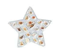 Generico Sea Shell Display Box - Acrylic Panel Storage Boxs | Starfish Shell Collecting Box For Girlfriend Women Girls Shark Tooth Rings Ear StudsLiving Room Bedrooms