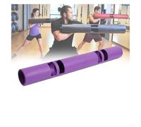 Generico Secchio for Allenamento della Forza con Carico da 12 kg, Barra for Pesi in Gomma Portatile for Allenamento, Aiuta L'allenamento di Tutto Il Corpo, for Palestra Funzionale in Casa(Color1/4kg)