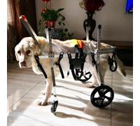 Generico Sedia a rotelle per Cani a 4 Ruote per Razze Piccole e Grandi, ausilio Regolabile per la Mobilità di Cani disabili, Supporto Completo per Le Gambe, Taglia M