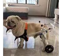 Generico Sedia a rotelle per Cani paralizzati - Tutore di Supporto per l'anca per Le Zampe Posteriori, ausilio per la Mobilità degli Animali Domestici per Il Recupero, Riabilitazione per Razze piccol