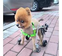 Generico Sedia a rotelle Regolabile per Cani di Piccola Taglia - Ausilio alla Mobilità a 4 Ruote per Cani con displasia dell'anca e Supporto per Le Zampe Posteriori, Assistenza migliorata alla cammin