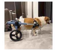 Generico Sedia a rotelle Regolabile per Cani disabili - Ausilio alla Mobilità Leggero e Resistente per Il Supporto delle Zampe Posteriori, Ideale per la Riabilitazione dei Cani (X-Small)