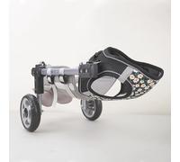 Generico Sedia a rotelle Regolabile per Cani disabili - Ausilio per la Mobilità per Zampe Posteriori ferite e Comfort per Gattini - Carrello di Riabilitazione per Animali di Taglia Media e dispositiv