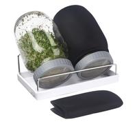 Generico Seed Sprouting Jars, Glass masons Containers, Sprout Growing Kit