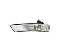 Generico Segnale Retrovisore Per Ford Per Focus 2 3 Per Mondeo 2008 2009 2010 2011 Auto Specchietto Retrovisore Segnale Di Girata Angolo Della Luce Copertura Ombra 1 Pz/paia