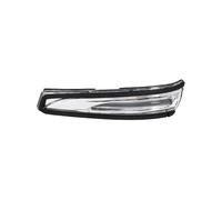 Generico Segnale Svolta Per Hyundai Per I30 Per Elantra 2012-2017 Specchietto retrovisore LED Indicatori direzione 876243X000 87623-A5000 87613-A5000