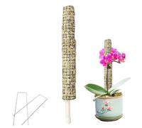 Generico Selbstbewässernder Moosstab - Selbstbewässernde Pflanzenstäbe Sphagnum, Coco-Sticks zum Klettern Von Topfpflanzen Im Innenbereich, zum Trainieren Von Schlingpflanzen, Zimmerpflanzen Wachsen