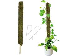 Generico Selbstbewässernder Moosstab - Selbstbewässernde Pflanzenstäbe Sphagnum, Coco-Sticks zum Klettern Von Topfpflanzen Im Innenbereich, zum Trainieren Von Schlingpflanzen, Zimmerpflanzen Wachsen