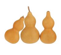 Generico Set 3 Pezzi Decorazioni di Zucca Naturale in Zucca Khaki per Ufficio e Casa Ornamento da Tavolo per Amanti della Cultura Cinese