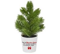 Generico Set 3 tris Alberelli Natalizi Personalizzati con Vaso - Pianta Artificiale 17 cm | Regalo Maestra o Maestro | Decorazione Natalizia con Nome o Frase a Scelta