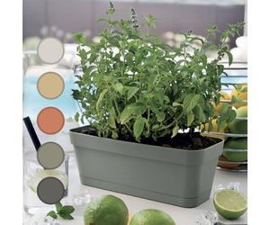 Generico Set 3 Vaso Rettangolare Moderno per Piante Grasse e Bonsai, Design Italiano, Plastica Resistente con Sottovaso, 30cm, Ideale per Interni ed Esterni, Fioriere da Balcone (Bianco)