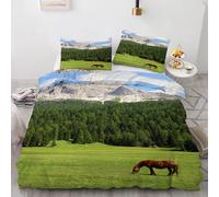 Generico Set Copripiumino una Piazza e Mezza MontañAs Biancheria Da Letto Microfibra Morbida Pastizales Copripiumini 200x200 cm con 2 Federe Cuscino, Zip Nascosto -Kg5745