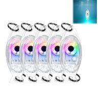 Generico Set da 5 lampade Ultra-Luminose per trappole da Pesca, Esche Luminose Impermeabili per Pesca in acque Profonde, galleggianti notturni, lampade LED per Esche, trote e salmoni (Multicolore)