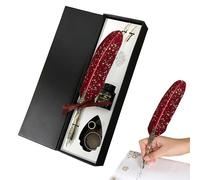 Genérico Set di inchiostro e penna, strumento di scrittura vintage - penna da disegno decorativa - per gli appassionati di scrittura, arte, storia, istruzione e ufficio