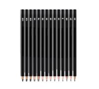 Generico Set di matite for schizzi professionali da 14 pezzi HB 2H 4H B 2B 3B 4B 5B 6B 7B 8B 10B 12B 14B Penna dipinta a mano artistica