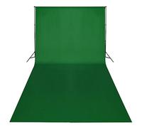 Generico Set Studio Fotografico Fondale Verde 600x300 cm e Luci,Verde,10.54kg,160178