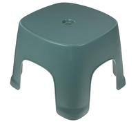 Generico Sgabello Compatto Antiscivolo in Plastica per Wc e Bagno, un Gradino, Leggero e Piccolo, per Uso Domestico e Addestramento Vasino, Verde