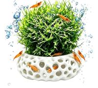 Generico Shrimp Cave | Decorative Multi-hole Breeding Aquarium Decorations
