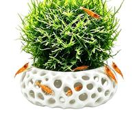Generico Shrimp Cave | Decorative Multi-hole Breeding Aquarium Decorations