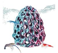 Generico Shrimp Cave - Shrimp Cave Habitats Decor | Fish Caves For Aquarium With Suction Cup | Simulated Porous Coral Stone Shrimps Habitat For Guppy Terrarium Tank Hiding Resting Betta