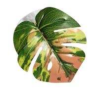 Generico Simulated Leaf - 11x10x1cm PP Jumping Spider, Pets Supplies, Jumping Spider Accessories | Realistic Leaf Design with Suction Cup for Plants, Terrarium, Snake Grow, Carpet, Hermit Crab, Egg