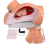 Generico Simulatore di Formazione del Modello di Parto, Modello anatomico Medico del feto, dimostrazione di Nascita Include i Modelli dell'utero del Bambino per l'insegnamento di Studio