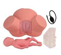 Generico Simulatore di Formazione ostetrica Dimostrazione di Parto Modello di feto pelvico Femminile Posizione fetale Normale anormale Modello di insegnamento di Consegna manichino