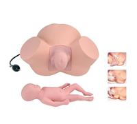 Generico Simulatore di Parto in PVC a grandezza Naturale Modello di dimostrazione del Parto con Modello fetale + Larghezza pelvica Regolabile, Modello per l'istruzione e Lo Studio